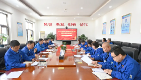党建引领强党性 凝心聚力促发展——公司各党支部圆满召开2025年度组织生活会