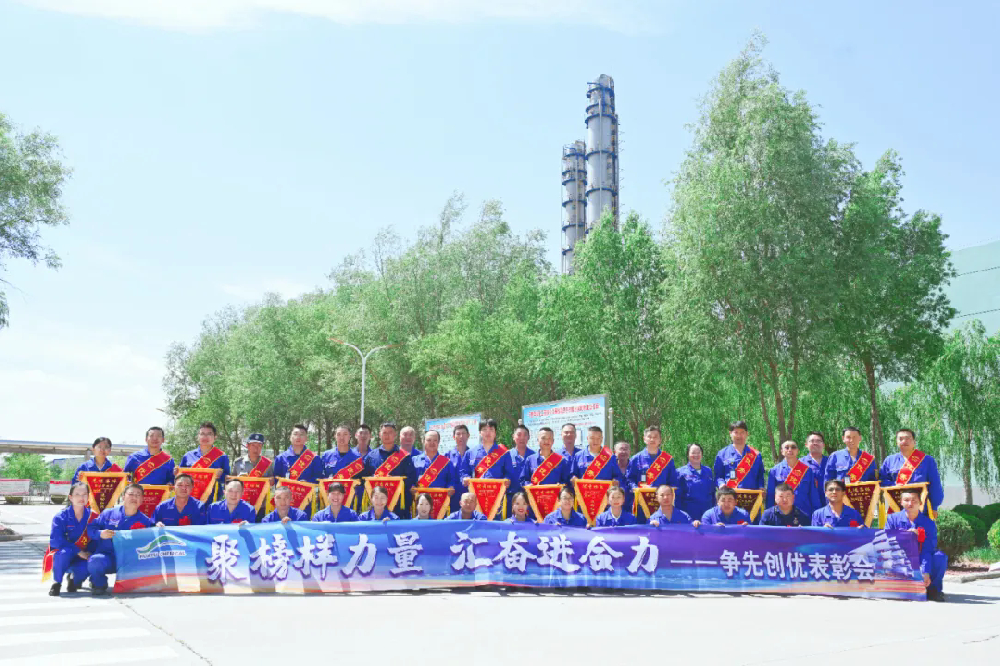 图片12.webp.png