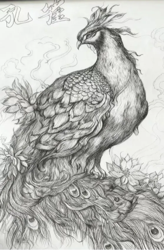 1762134334200998.png 画1.webp.png