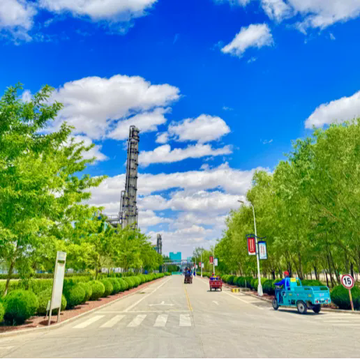 1762134376112648.png 照片1.webp.png