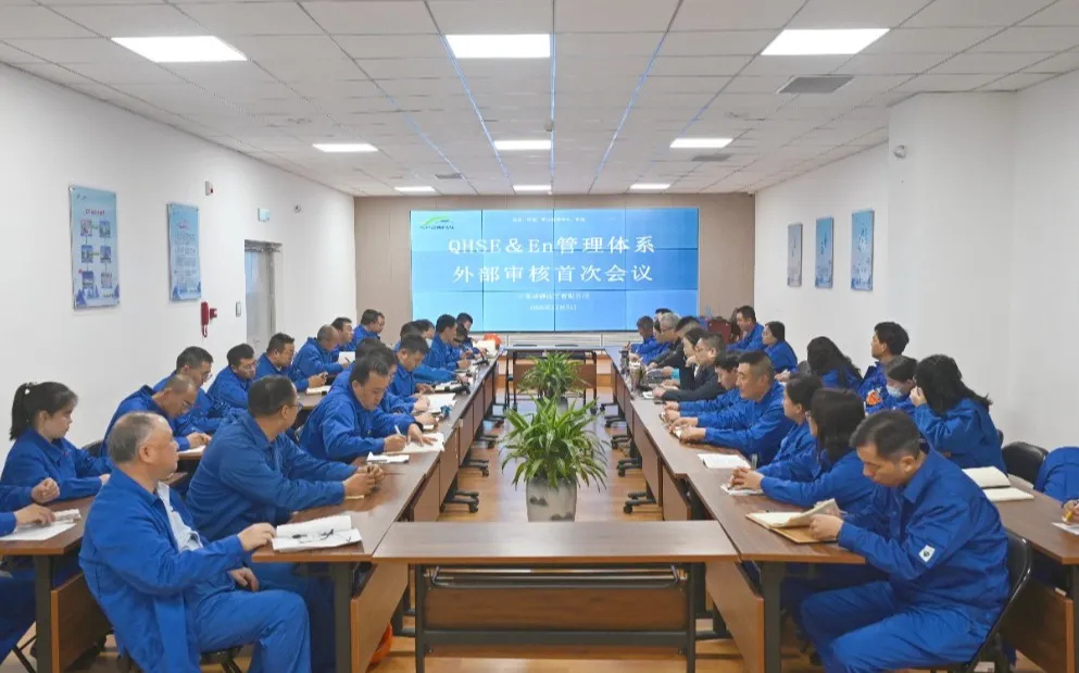 1762914253729098.png 1.webp.png