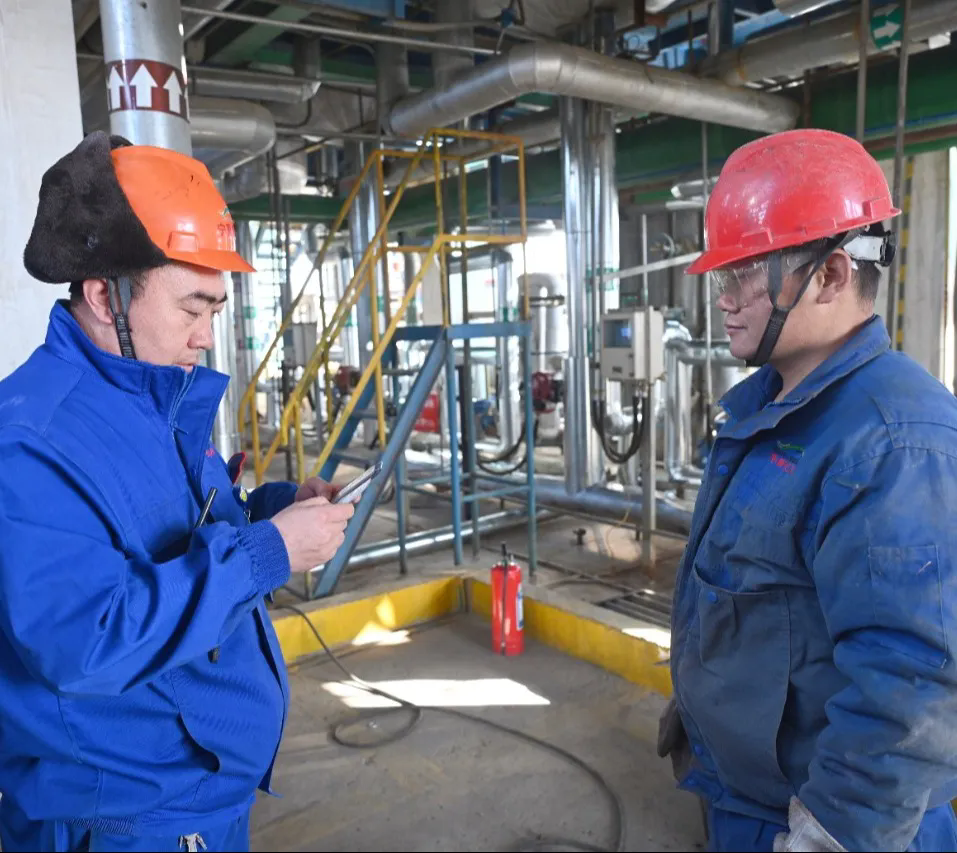 1764147182121466.png 3..webp.png