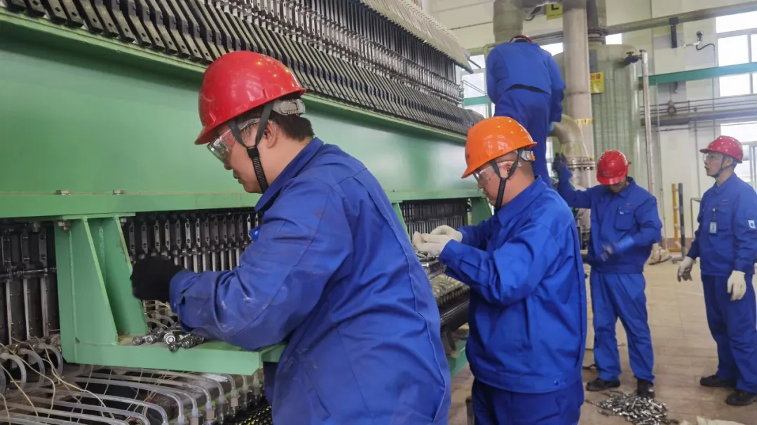 1764205556856782.png 6.webp.png