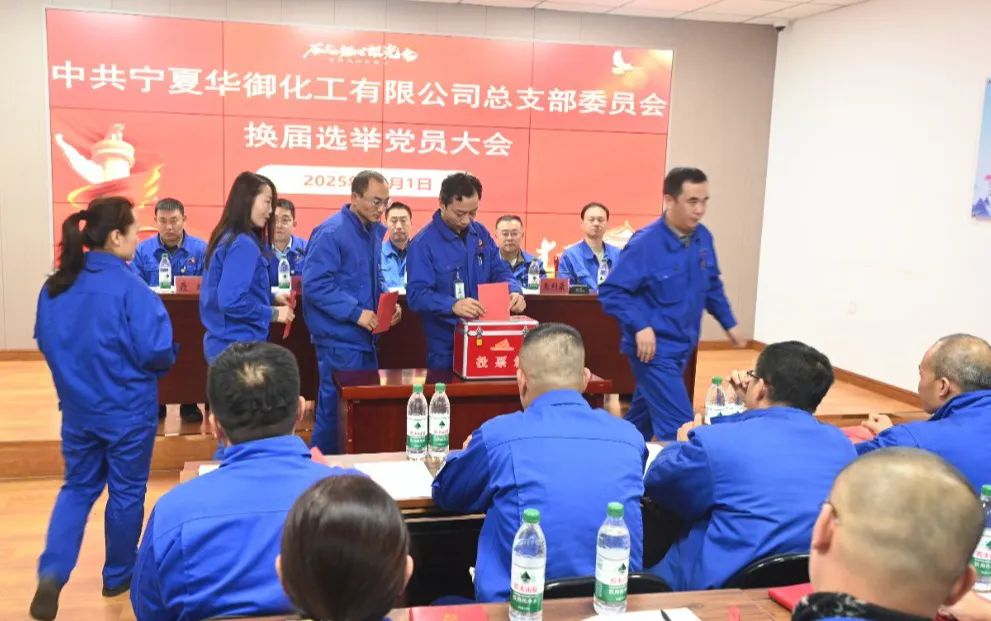 1764827981176410.png 2..webp.png